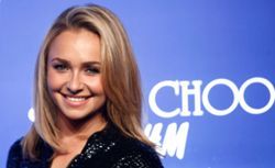 Hayden Panettiere's mum blames ex Brian Hickerson as history of abuse faces closer scrutiny