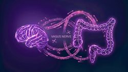 Our vagus nerve found to have unexpected link to memory