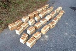 Large volume of shokupan bread, raw chicken meat found abandoned in Mt. Daisen area in Japan’s Tottori Prefecture