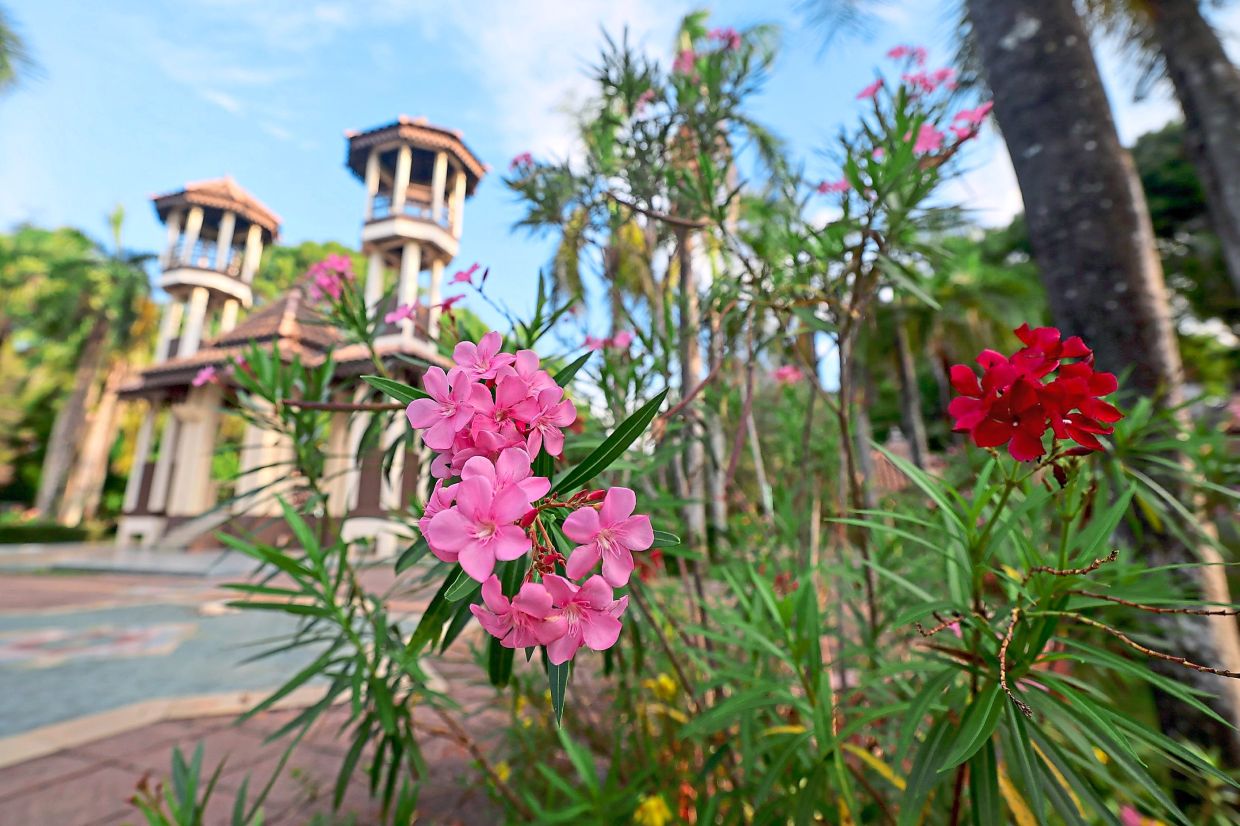 A variety of plants add beauty to the Taman Perbandaran Tengku Anis, Kota Baru. - Bernama