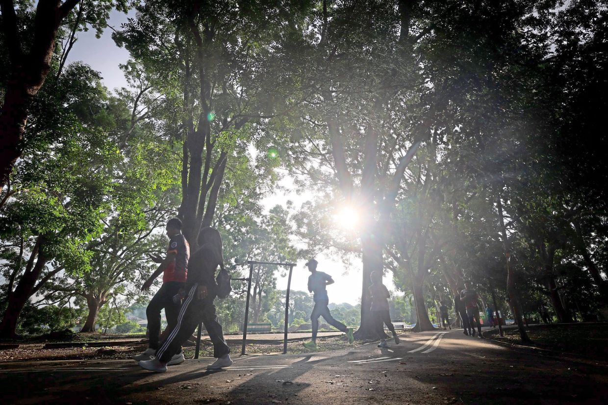 Clockwise from left: Visitors to Taman Perbandaran Tengku Anis in Kota Baru staying active, walking along a landscaped path, and interacting with deer. Green lungs serve as a place where city dwellers can destress and spend quality time with family and friends.