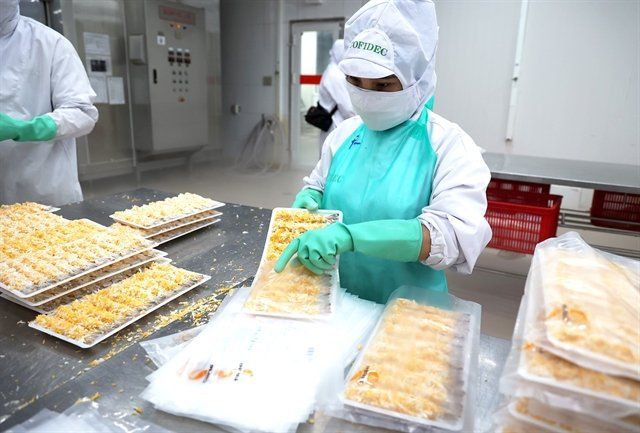 A worker packs seafood products. The EU's new packaging rules could affect major export sectors, including food, seafood, coffee, cashew, textiles, footwear, electronics, cosmetics, wood and other consumer goods. — VNA/VNS