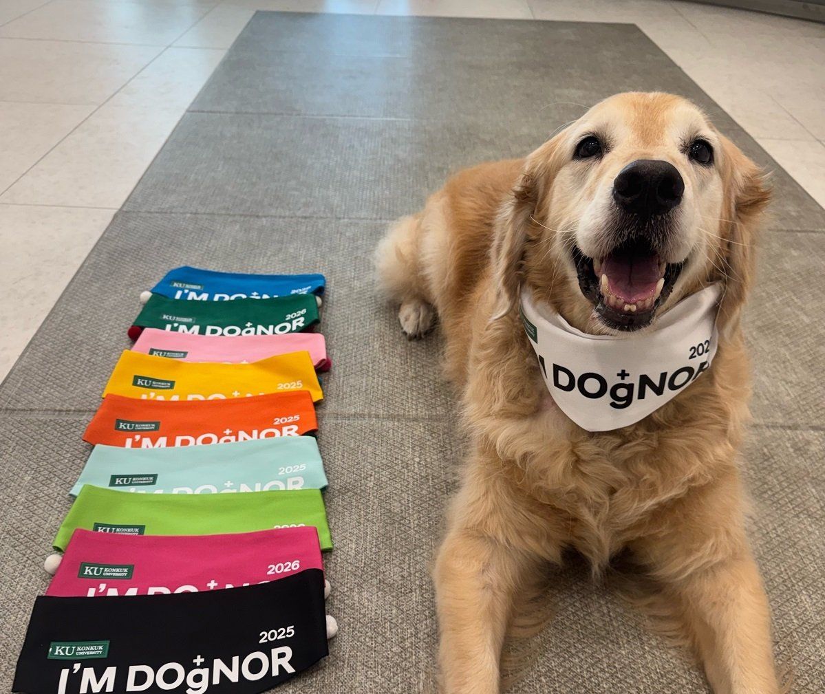 Cappu sits wearing a scarf marking his 10th blood donation after giving blood at Konkuk University’s KU I’m Dognor Blood Donation Centre in Seoul, on the same day. Next to Chappu are the different-coloured scarves given to canine blood donors based on the number of donations they have made, ranging from blue for the first donation at the top to black for the ninth at the bottom. - Photo: Cappu’s owner
