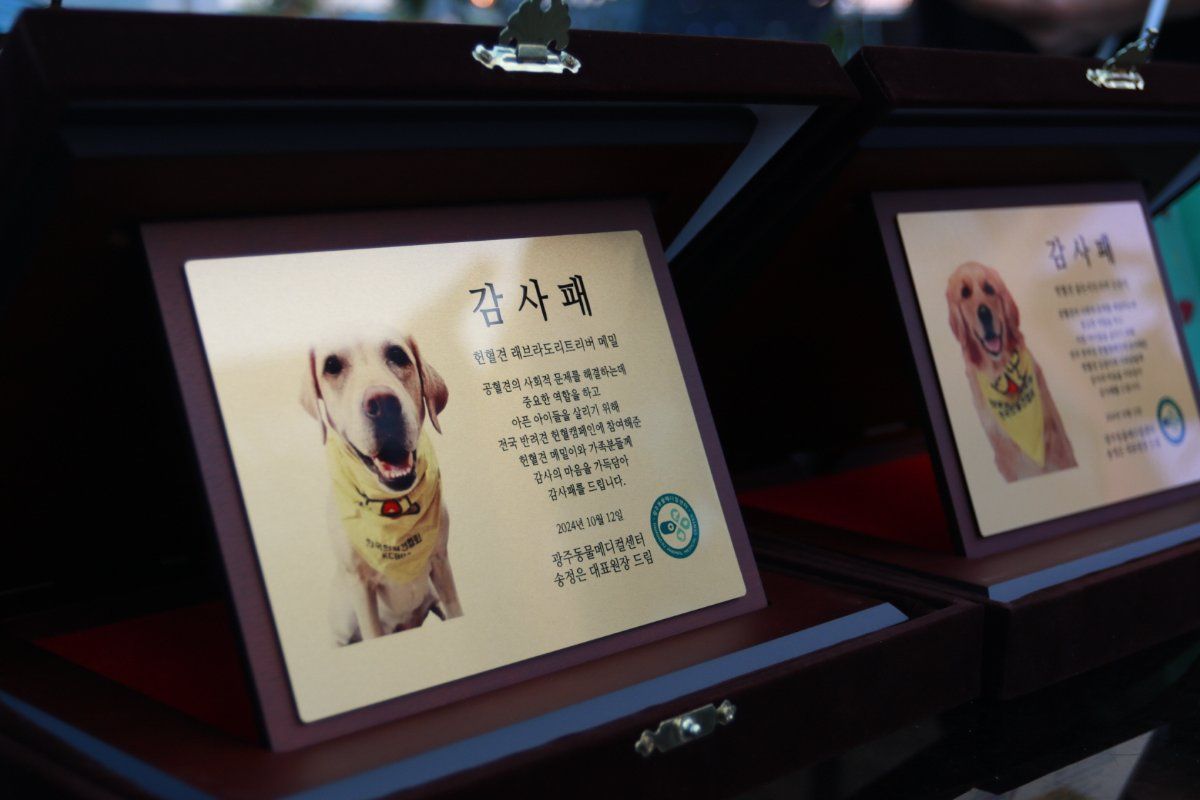Plaques of appreciation for canine blood donors, designed and produced by Gwangju Animal Medical Centre, are displayed at the centre. - Photo: Gwangju Animal Medical Centre