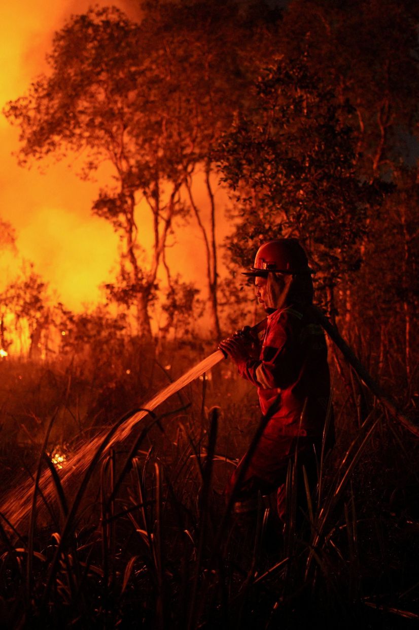 A firefighter extinguishes fire in an area affected by the wildfire in Ogan Ilir regency, South Sumatra province, Indonesia, August 15, 2026. REUTERS/Abriansyah LibertoTPX IMAGES OF THE DAY