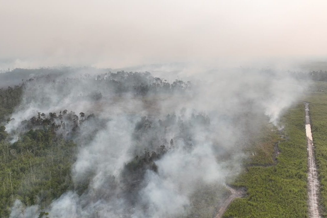 In this aerial photo released by Indonesia's National Disaster Mitigation Agency (BNPB), smoke billows as a wildfire rages through a peatland forest in Bulungan, North Kalimantan, Indonesia. -- BNPB via AP