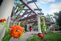 Green respite from urban stress