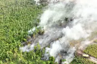Worst is yet to come, warn experts