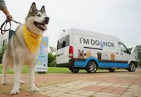 Four-legged lifesavers: Inside Korea’s growing canine blood donation network