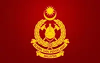 Sarawak fires: 30-hectare peatland fire in Betong, water bombing controls Lundu blaze
