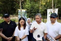 DBKL to install 200 sensors to monitor risky trees in the city