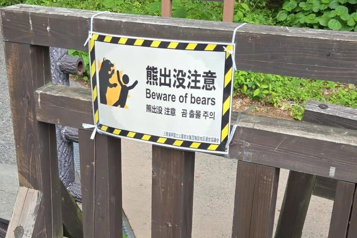 Foreign tourist injured in bear attack in Japan’s Aomori Prefecture