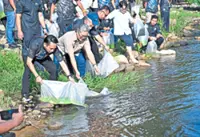 Perak steps up efforts to save loma fish from extinction