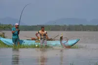 Sri Lanka records declining fish harvest since 2014: agency