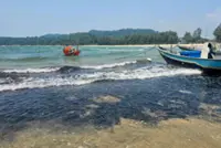 Chukai's Teluk Kalong beach hit by coal pollution again