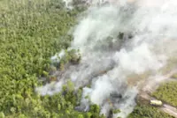 Indonesian police arrest 72 people suspected of starting forest fires