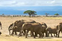 Conservation of wildlife should also benefit the people living alongside it