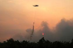 Wildfire smoke drives surge in respiratory infections