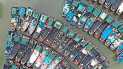 China activates Level-IV flood emergency response for Guangdong, Guangxi, Hainan