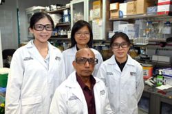 NUS researchers find drug that turns off ‘master switch’ in aggressive breast cancer