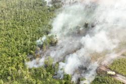 Indonesian police arrest 72 people suspected of starting forest fires