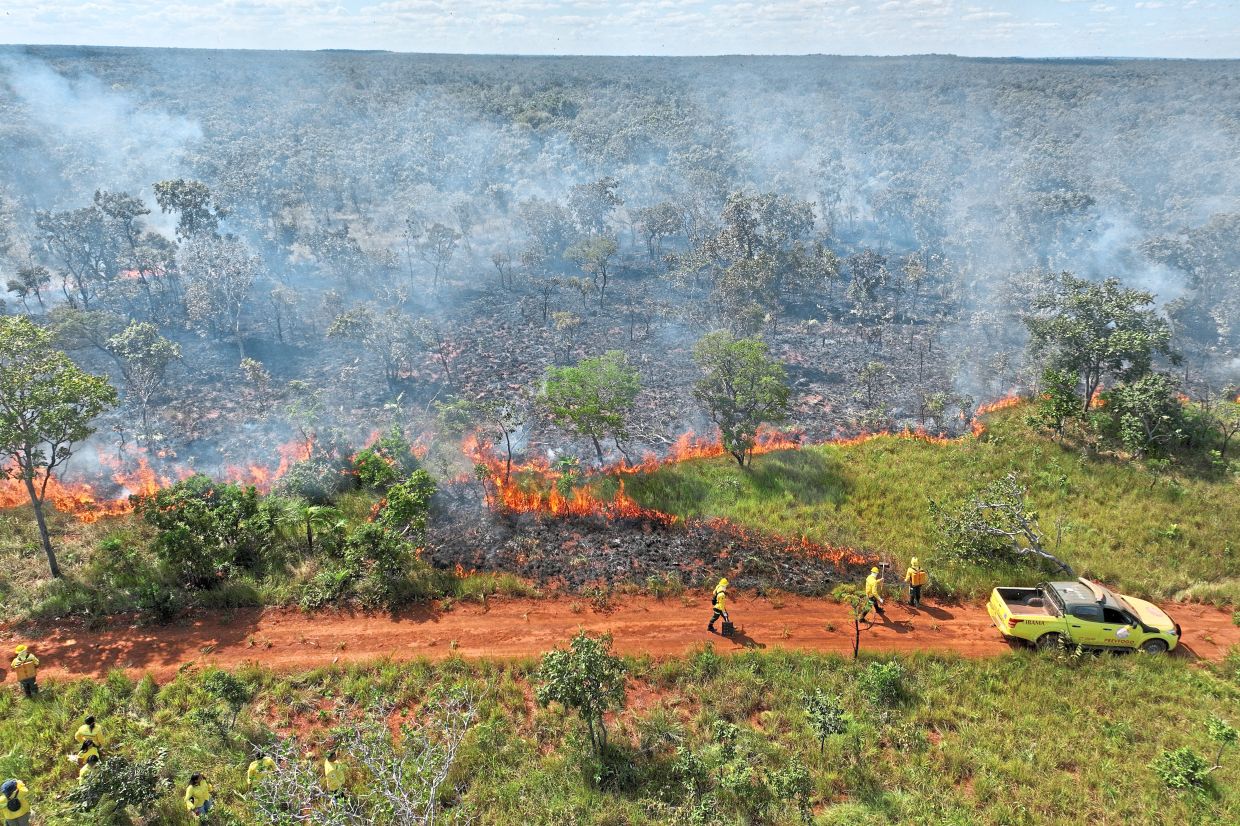 When applied with technical expertise, fire can significantly contribute to environmental conservation, says Andre Lima.