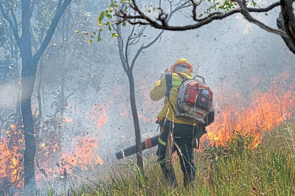 After decades of experiencing prejudice, indigenous leaders now coordinate with the government to apply ancestral knowledge to prevent large wildfires.