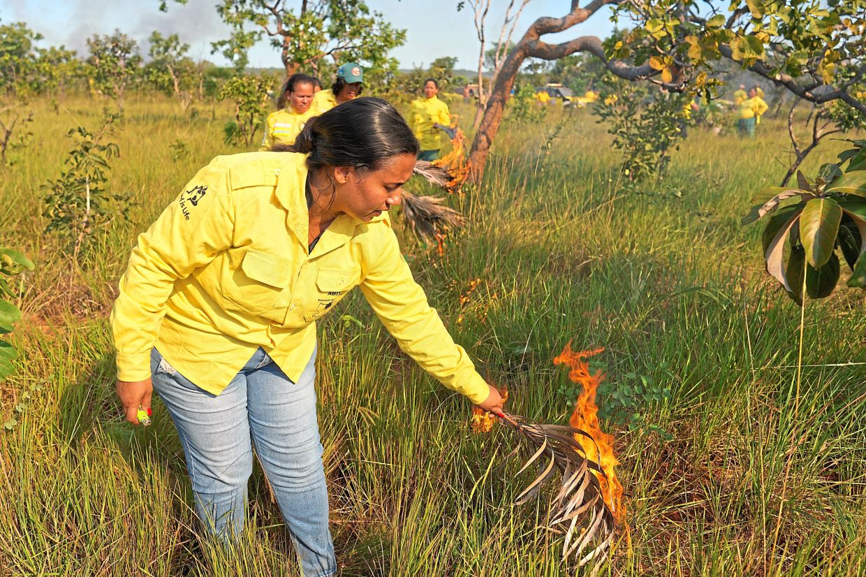 Ana Shelley Xerente, the first woman to lead an indigenous brigade, ignites fires with dry palm leaves during a controlled burn.