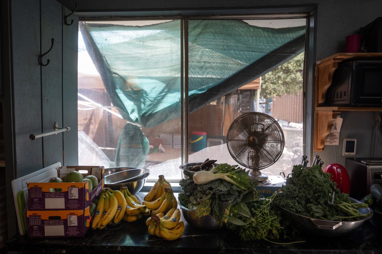 Fruits and vegetables for gibbons are laid out on a table at the Gibbon Conservation Center in Santa Clarita.