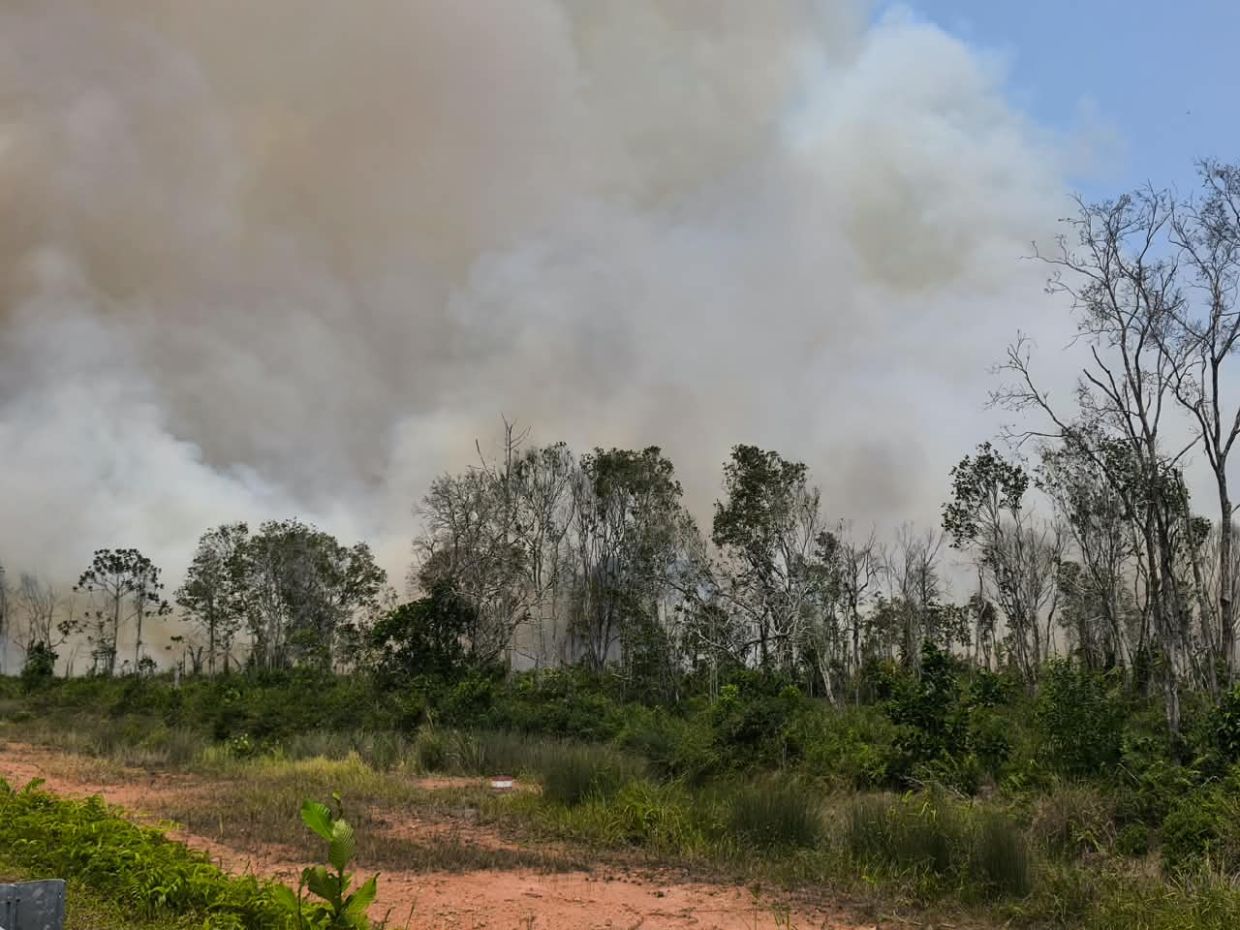 Firemen battling 29ha grass fire along highway in Pengerang