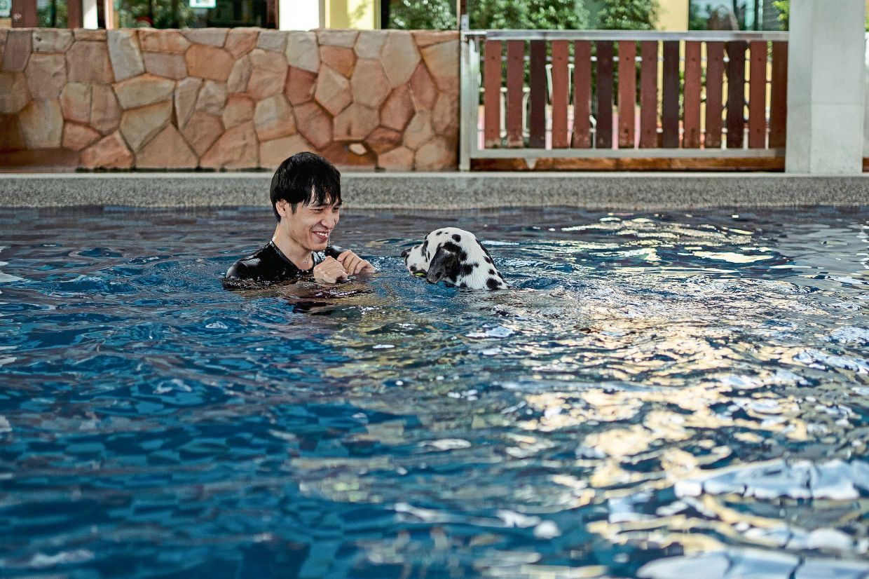 Taking your dog to a pool is a great way to cool down in the heat, get some exercise and have a ton of fun. — Pexels