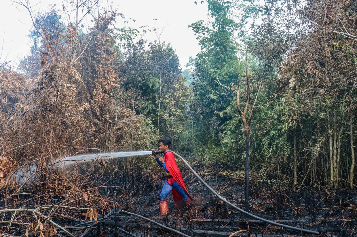 Indonesian student Rudiansyah dressed in a Superman costume helps to extinguish a forest and land fire at Petuk Katimpun in Palangkaraya, Central Kalimantan. -- Photo by REINA / AFP