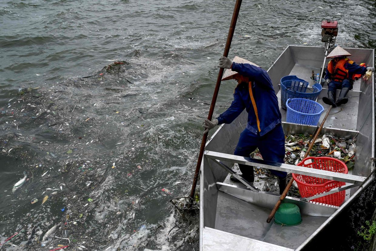 A worker collects a dead fish floating among rubbish in West Lake in Hanoi on Monday, August 24, 2026. -- Photo by Nhac NGUYEN / AFP