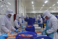 Vietnam's economy expected to grow 11% in 2027