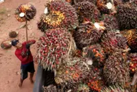 Indonesia will build trustworthy commodity exchange, chief supervisor candidate says