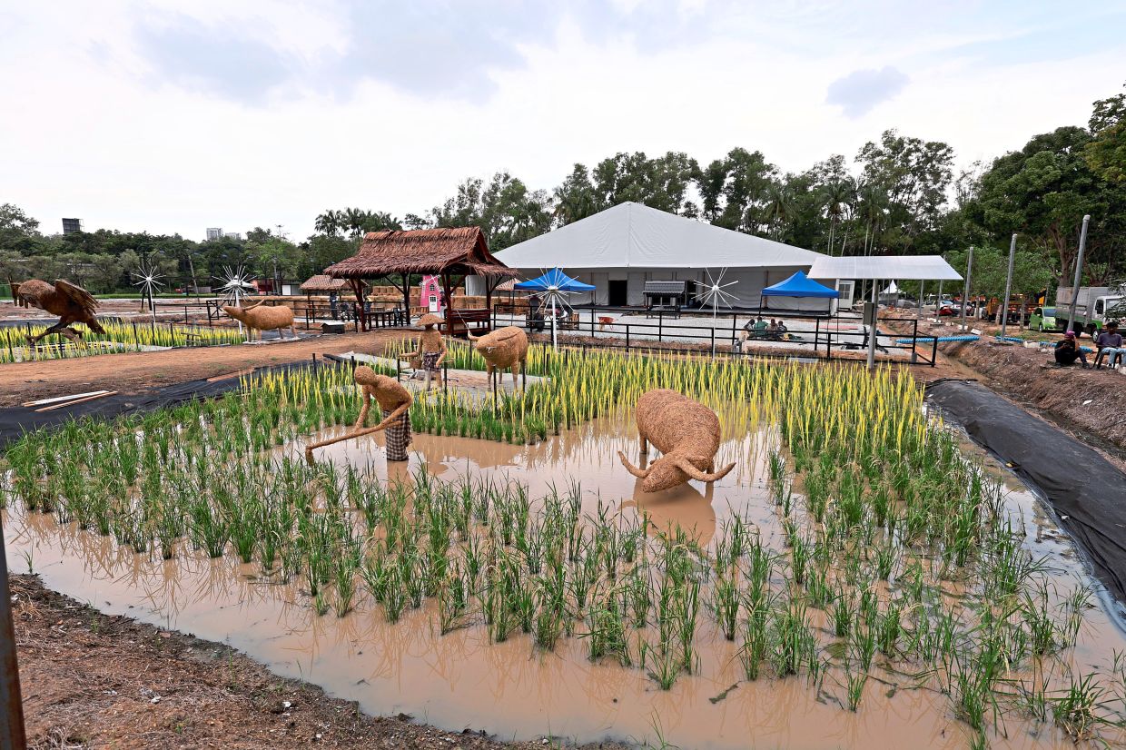 Visitors to MAHA 2026 can experience how padi is traditionally planted and grown at an interactive agro-tourism site.