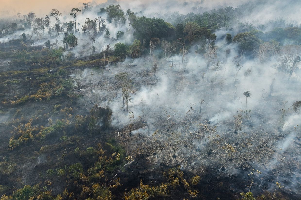 Firefighters battling large forest fire in Johor