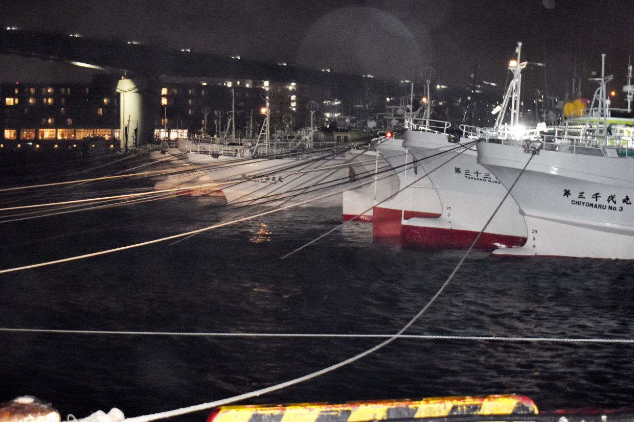 Fishing vessels are moored as Typhoon Saudel approaches, at Tomari Port in Naha on Aug 25, 2026. - AFP