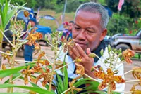 Orang Asli treasures tiger orchid find