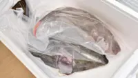 Safety tests clear Fukushima seafood, but bans persist