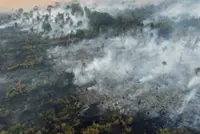 Firefighters battling large forest fire in Johor
