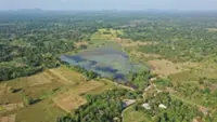 Sri Lanka's major reservoir storage falls amid dry condition