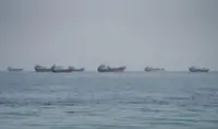 Commodity vessel transits through Strait of Hormuz hit three-month low，data shows