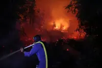 Indonesia sanctions six firms over Kalimantan fires