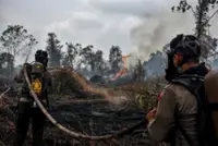 Indonesia's forest, land fires easing, could end within two weeks, says Prabowo