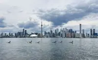 Trump threatens to change the name of Lake Ontario to Lake America amid Canada trade war