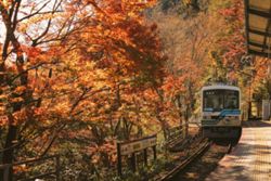 The shoulder season is a great time to visit these destinations
