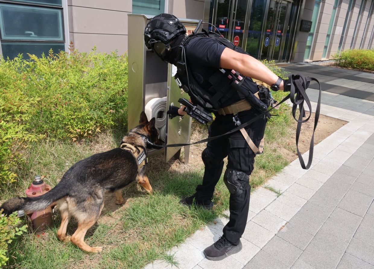 A police dog searches the premises of Jeonju District Court in North Jeolla Province on Wednesday after the courthouse received an email threatening an explosion. - Photo: Yonhap