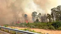 MetMalaysia: Optimal rainfall vital to sustain growth of padi, oil palm