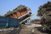 India import shift pushes raw sugar higher